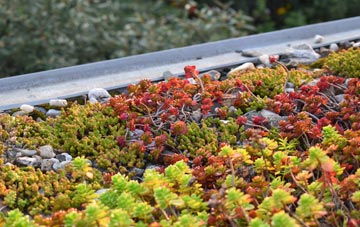 the cost of Hollow Street green roof installation