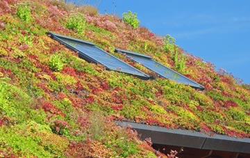 Hollow Street living roof systems