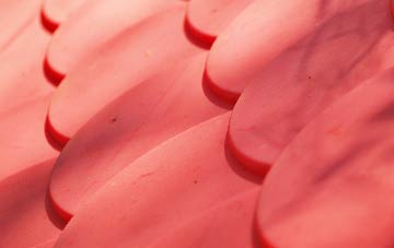 Hollow Street plastic roof costs